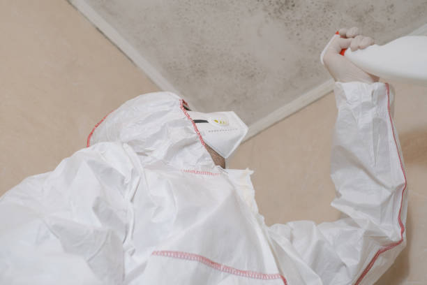 Best Emergency Mold Remediation in Rawlins, WY